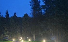 Glenariff Forest Larch Cabin
